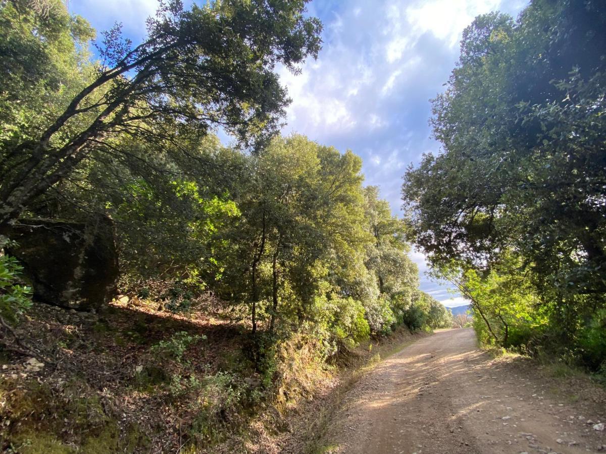 Locanda Tipica Sa Corte Oliena Εξωτερικό φωτογραφία