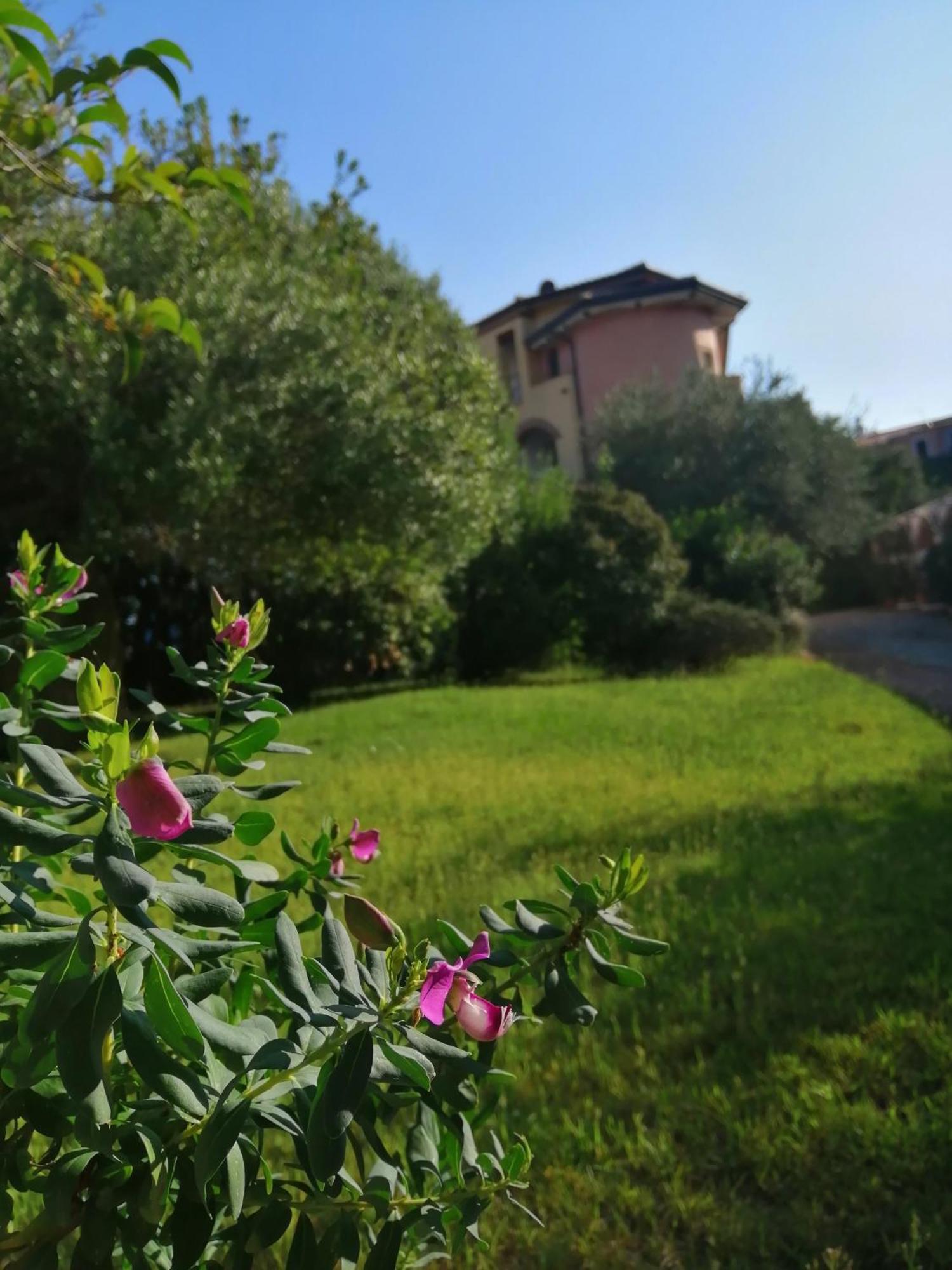 Locanda Tipica Sa Corte Oliena Δωμάτιο φωτογραφία